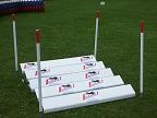slalom of hoekpaal inclusief grondpin